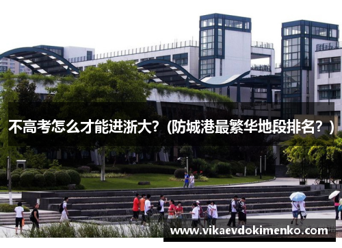 不高考怎么才能进浙大？(防城港最繁华地段排名？)