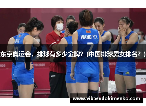 东京奥运会，排球有多少金牌？(中国排球男女排名？)