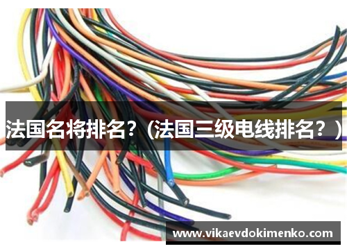 法国名将排名？(法国三级电线排名？)