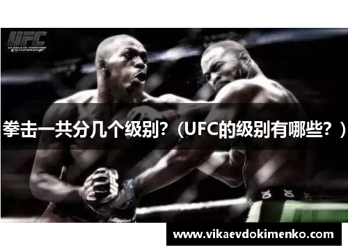 拳击一共分几个级别？(UFC的级别有哪些？)
