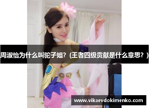 周淑怡为什么叫驼子姐？(王者四级贡献是什么意思？)