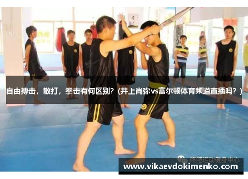 自由搏击，散打，拳击有何区别？(井上尚弥vs富尔顿体育频道直播吗？)