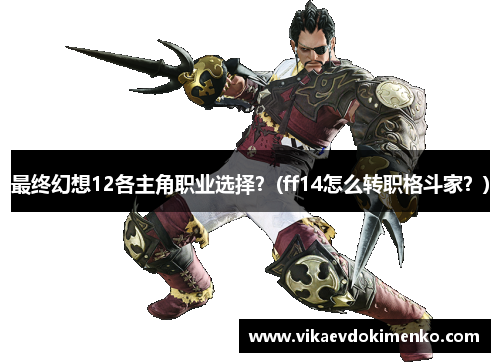 最终幻想12各主角职业选择？(ff14怎么转职格斗家？)